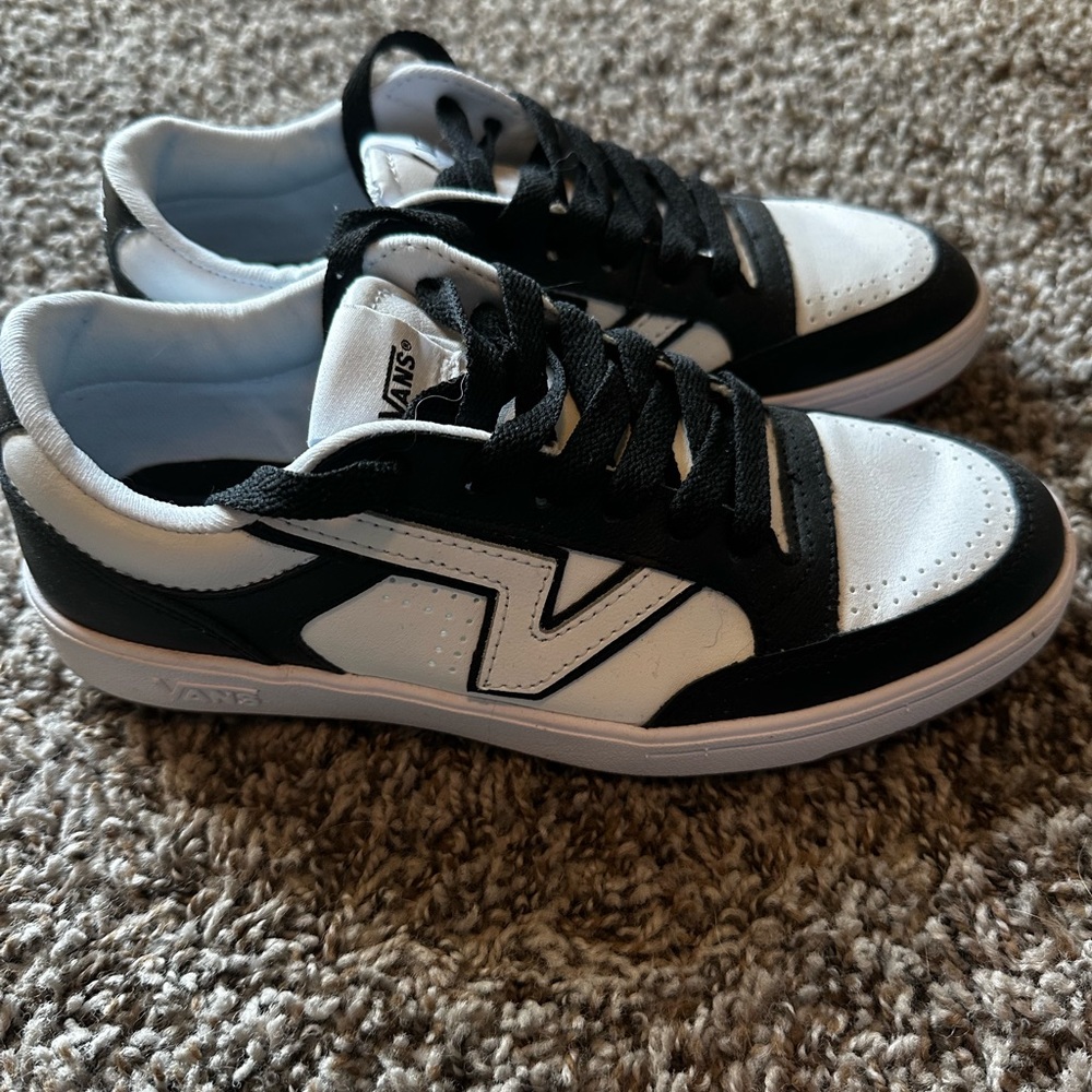 Vans Lowland Comfycush Leather Shoe